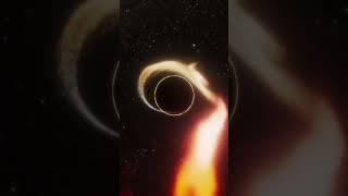 Black Hole Tidal Disruption Event
