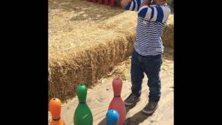 Travel Tot: Clayton Valley Pumpkin Patch