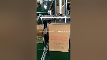 Snack food bag spider type robot hand sorting feeding placing cartoning machine encasing line