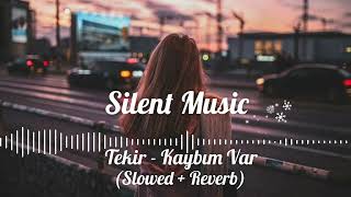 Tekir - Kaybım Var (Slowed & Reverb) Resimi