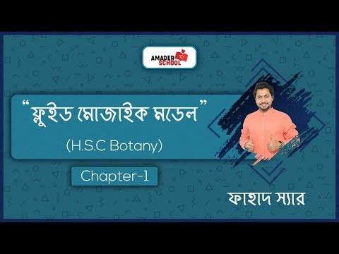 ভিডিও: কোষের ঝিল্লির স্যান্ডউইচ মডেল কী?