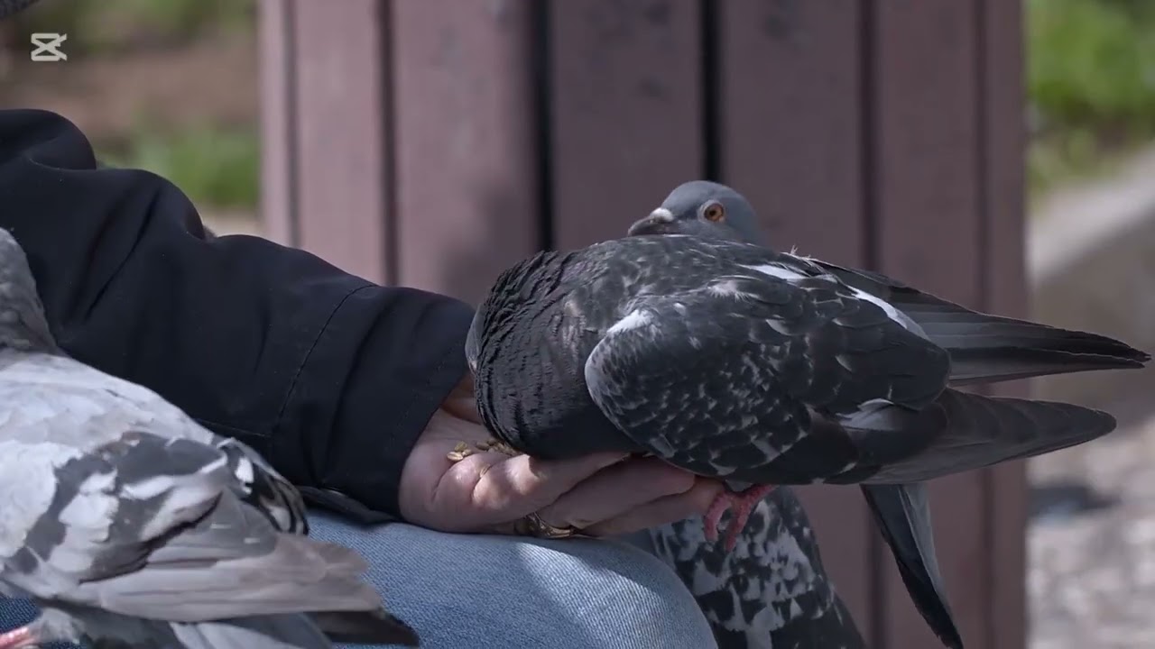 I don't want my life to be wasted 