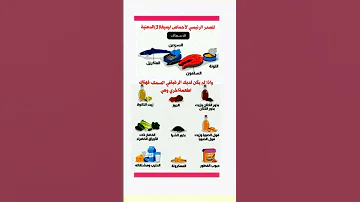 المصدر الرئيسي لاحماض اوميغا 3 الدهنية صحتك أهم ابداع اقنباسات المراه 