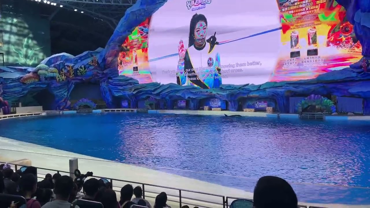 Chimelong Orga show HK Trip