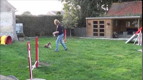 Lolabuland Foundation Class, lesson 1