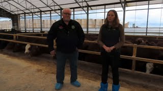 Ontario’s Feedlot Cattle Behavioral and Feed Bunk Management Study