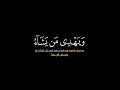 شاشة سوداء كرومان قارئ سعد الغامدي سورة يونس