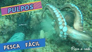 Pesca Submarina Pesca los Pulpos + FACIL, Consejos