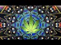 Psytrance Experience - Cannabis Control 👽 Space Hemp / T.H.C. mix 2023