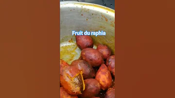 Mise En Bouche Avec Le Fruit Du Raphia Bankulu Pande Tukula Palmier Amer Diabete 
