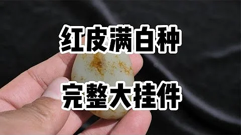 收穫一塊紅皮牌子籽料 - 天天要聞
