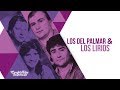 LOS DEL PALMAR Y LOS LIRIOS (COMPILADO) | Cumbia Tube Santafesina