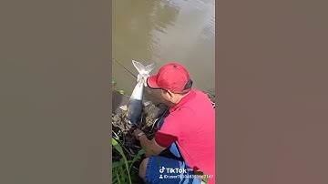 câu cá sông củ chi