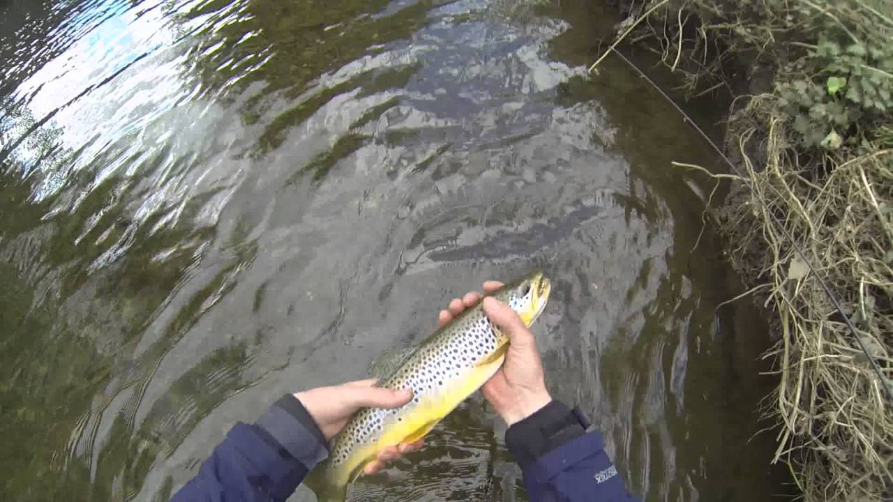 Trout fishing in ireland 2016. Pescuit de pastrav in irlanda. YouTube