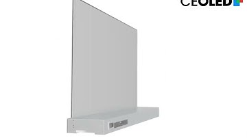 RK-O55-QTP6 55inch Open Cell Transparent OLED Display