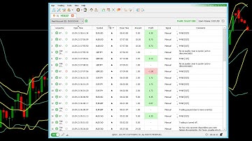 MT2Trading Copy Trading weekly IQ Option Real Result - NoMg Tuskers