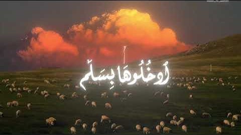 ادخلوها بسلام هيثم الدخين سورة ق #هيثم_الدخين #القرآن_الكريم