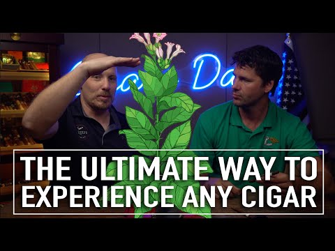 The Ultimate Way to Experience Any Cigar