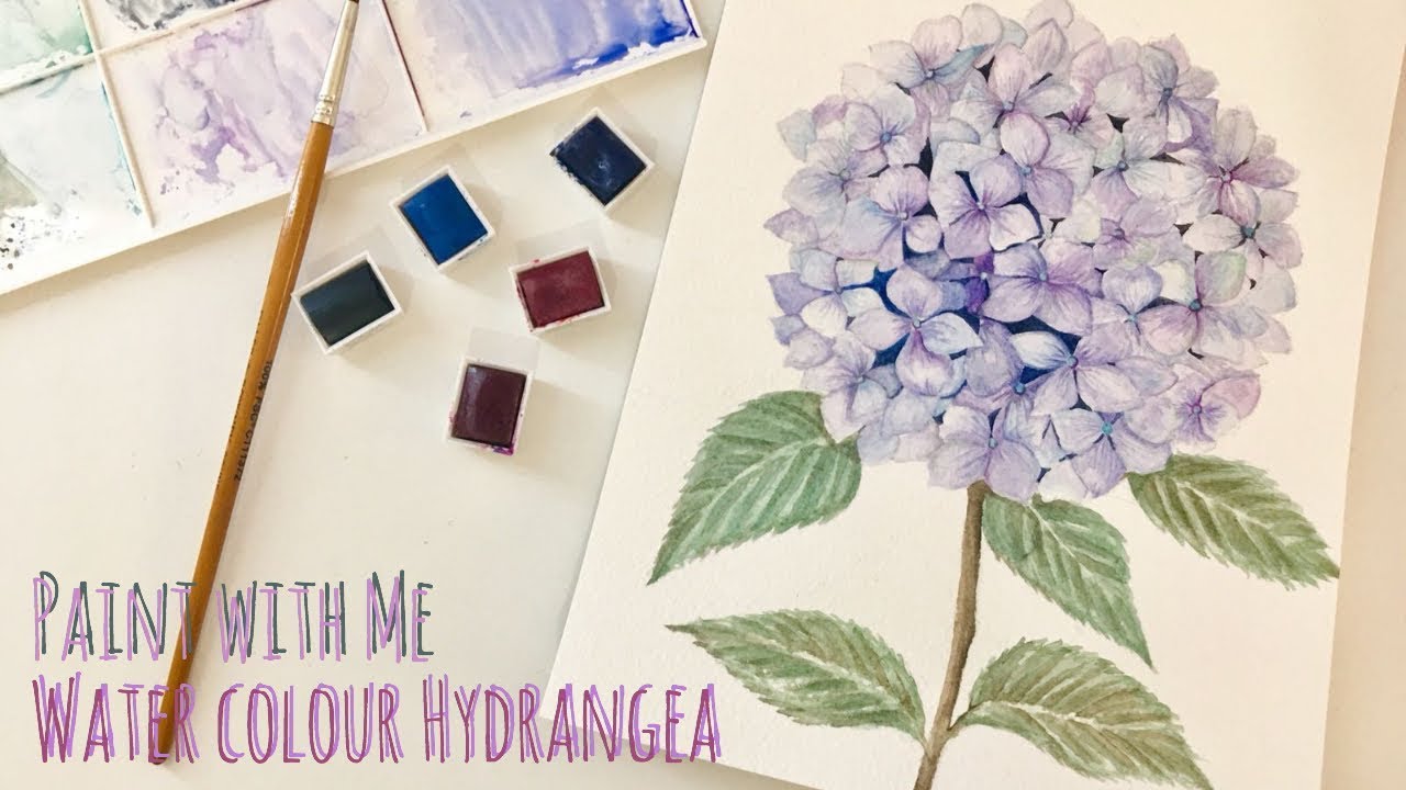 Paint With Me Flower Series Water Colour Hydrangea 花花系列 水彩繡球花 Youtube