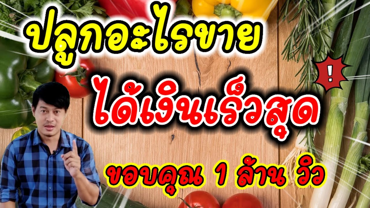 10 อันดับ ผักปลูกง่าย ขายเร็ว รวยไว