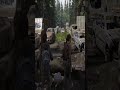 The Last Of Us 2   Video 46 #gamingislife