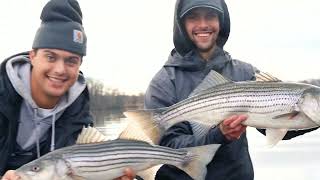 Winter Stripes (New England Holdover Striped Bass Fishing)