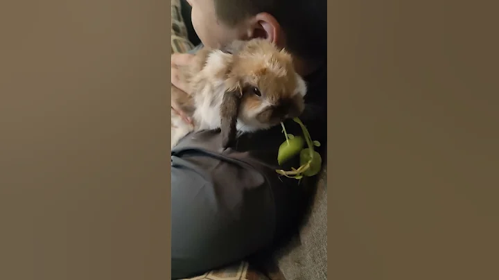 bunny eating watercress