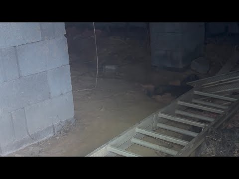Under the trailer walkthrough and progress