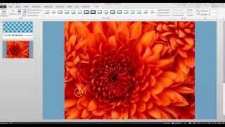 Adding a Text Box or Image to PowerPoint