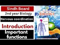 Nervous Coordination | Introduction | Chapter 17 Class 12 Biology| Sindh Board By Umm e Aiman