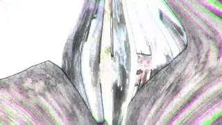 VAE VICTUS 2.0