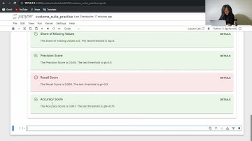5.5. Design a custom test suite with Evidently. [CODE PRACTICE]