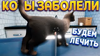 ЭТИМ КОТИКАМ ПЛОХО НУЖНО ПОМОЧЬ ( Animal Shelter )