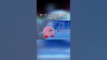 滑り方の違い 小ネタ スマブラSP 