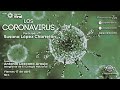 Los coronavirus