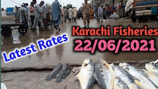 Fish Video | Latest Rates of Fish 21stJune 2021 | Karachi Fishery Market