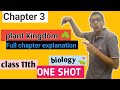 Chapter 1 Plant Kingdom ☘️ (class 11th) One Shot mind map 🗺️ full chapter explanation || biology