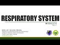 Respiratory system