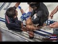 Old school muay thai knockouts . Part 2