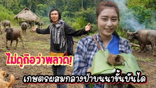 ดิบ ฝน ชนเผ่า EP19 บ้านควายกลางป่าสวนเกษตรบนดอยเรียบง่ายใต้หลังเขา