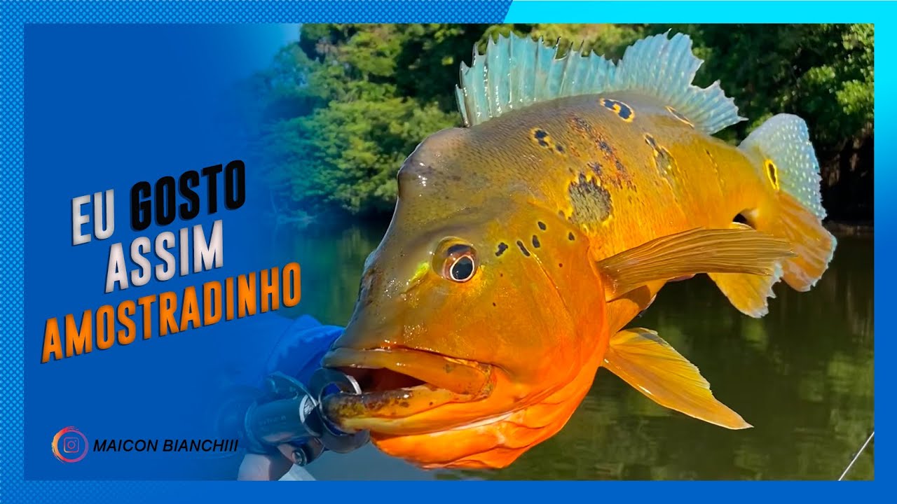 QUANDO CHEGAR A HORA, VOCÊ TEM QUE ESTAR PREPARADO! PESCARIA