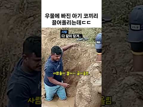 진흙 범벅 아기 코끼리 꺼내는 데 몇 명 붙냐면ㄷㄷ thumbnail