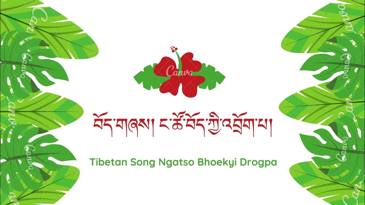 Tibetan Song Ngatso Bhoekyi Drogpa Lyrics   