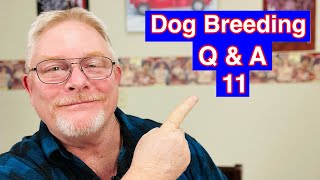 Uncover the Secrets of Dog Breeding: DNA Test Your Puppy Before You Buy!