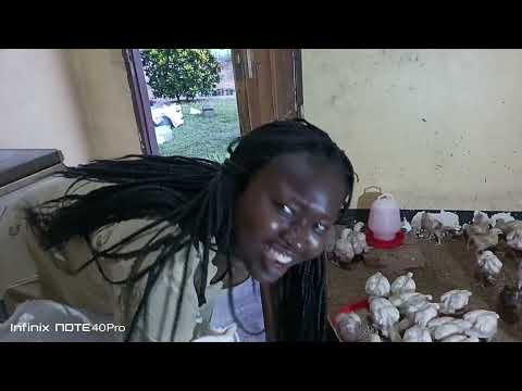 WIKI YA TATU TUMEWAPA ANTIBIOTIC NA VITAMINS BAADA YA GOMBOLO WAPO SAWA