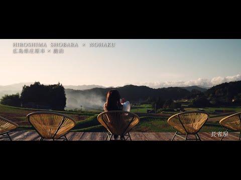 株式会社ニューステラ