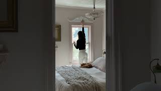 No Windows Or Doors Are Safe Since Discovering These Ornate Pediments