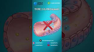 Full Renal Tubular Acidosis Made Easy: The 1, 2, 4 DPA Mnemonic | USMLE PrepPro Guide