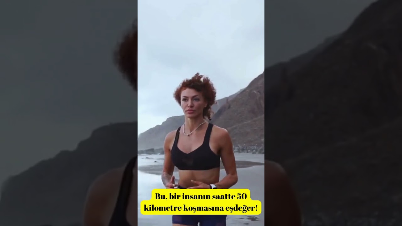Bir karınca saatte 300 metre yol alabilir mi? | Gerçekten Bu