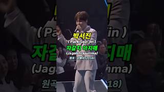 박서진_자갈치아지매  #박서진   #자갈치아지매